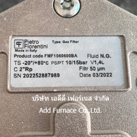 Pietro Fiorentini Gas Filter FMF1060600BA